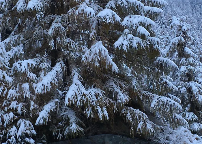 17, Marico Apartmán